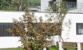 Highslide JS